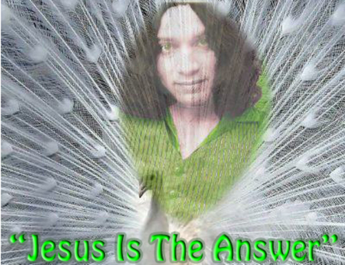 Product picture Jesus Is The Answer